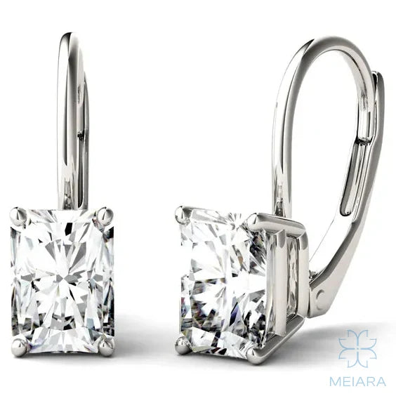 Aria Radiant Zion Drop Earrings