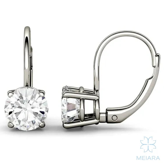 Aria Round Brilliant Zion Drop Earrings