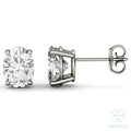 Eve Oval Grace Stud Earrings